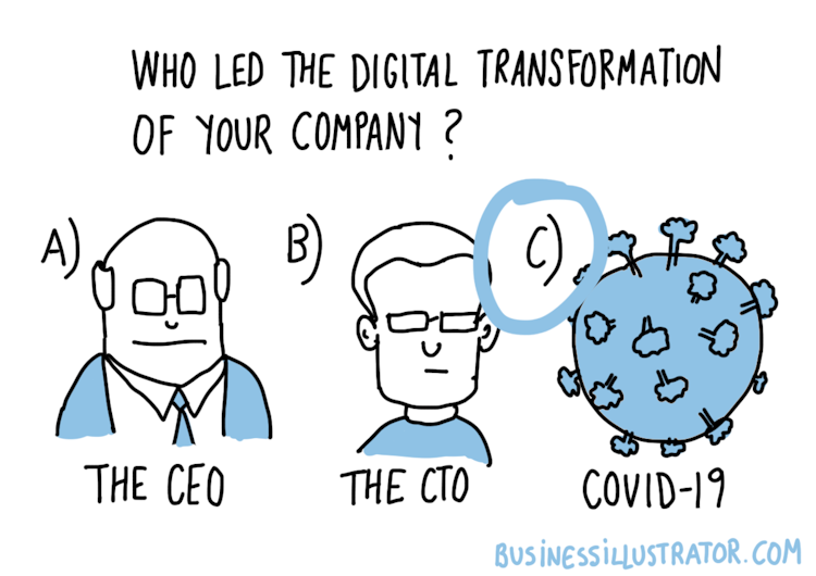 Who led the digital transformation of your comapny? Covid-19